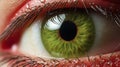 Macro shot of a woman\'s beautiful eye with green iris Royalty Free Stock Photo