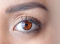 Macro shot of young woman eye Royalty Free Stock Photo