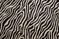 macro shot of a zebra striped rug or carpet