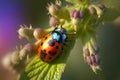 Macro shots, Beautiful nature scene. Beautiful ladybug on leaf and flower. Close-up of a ladybug on a branch. generative ai Royalty Free Stock Photo