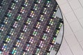 Macro of silicon semiconductor wafer. Royalty Free Stock Photo