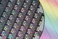 Macro of silicon semiconductor wafer. Royalty Free Stock Photo