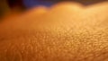 Macro skin of human hand.Medicine and dermatology concept. Details of human skin