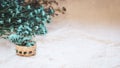 Macro small white flowers in a small bamboo woven basket Royalty Free Stock Photo