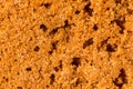 Macro snapshot texture of oatmeal cookies