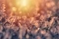 Macro of snow, frost with yellow and orange gradient