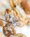 Macro snow on hydrangea