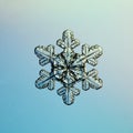 Macro snowflake ice crystals Royalty Free Stock Photo