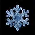 Macro snowflake ice crystals present natural Royalty Free Stock Photo