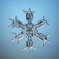 Macro snowflake ice crystals present natural Royalty Free Stock Photo