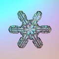 Macro snowflake ice crystals present natural Royalty Free Stock Photo