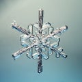 Macro snowflake ice crystals present natural Royalty Free Stock Photo