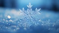 Macro Snowflake: Intricate Ice Crystal Close-Up Royalty Free Stock Photo