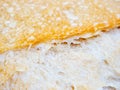 Macro of sourdough bread crust texture Royalty Free Stock Photo