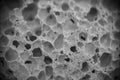 Macro sponge stone Royalty Free Stock Photo