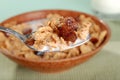 Macro spoonful of bran and raisin cereal