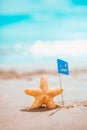 Macro starfish with summer flag at the seashore. Royalty Free Stock Photo