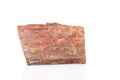 Macro stone mineral petrified wood on a white background Royalty Free Stock Photo