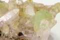 Macro stone mineral Prehnite Babingtonite On a white background Royalty Free Stock Photo