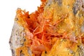 Macro stone mineral Wulfenite on a white background