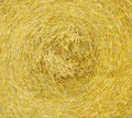 Macro straw texture, collected in a roll of hay in summer sunlight Royalty Free Stock Photo