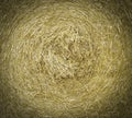 Macro straw texture, collected in a roll of hay in summer sunlight. Royalty Free Stock Photo