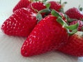 Macro Strawberry Royalty Free Stock Photo