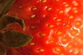 Macro Strawberry surface details Royalty Free Stock Photo