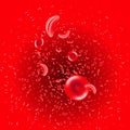 Macro streaming red blood cells flowing through artery