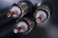 Macro of stripped high frequency coaxial cable Royalty Free Stock Photo