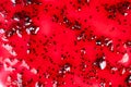 Macro study of currant jam texture revealing seed distribution and viscosity variation, laboratory analysis vibe for quality Royalty Free Stock Photo
