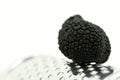Macro from Summer truffles Royalty Free Stock Photo