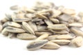 Macro sunflower Seeds Royalty Free Stock Photo