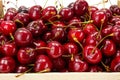 Macro of sweet cherries (Prunus avium)