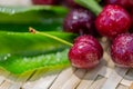 Macro of sweet cherries.Ripe red fruits on a wooden wicker surface with drops of morning dew and sunlight.  Shallow depth of field Royalty Free Stock Photo