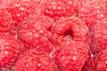 Macro sweet raspberry fresh fruit background