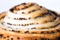 Macro tasty pastry with poppy seeds