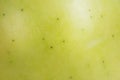 Macro texture of apple peel. Green apple as a background Royalty Free Stock Photo