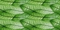 Macro texture of beautiful leaves in green tones. AI generative illustration