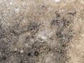 Macro texture - concrete - discolored pavement Royalty Free Stock Photo