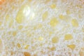 Macro texture fresh cut bread Royalty Free Stock Photo