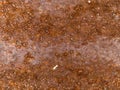 Macro texture - metal - rusty Royalty Free Stock Photo