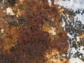 Macro texture - metal - rusty peeling paint Royalty Free Stock Photo
