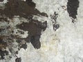 Macro texture - neutral metallic galvanized gray background, concrete, cracks, raindrops, paint drips, abstraction. underground Royalty Free Stock Photo