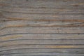 Macro texture of a rough wooden surface Royalty Free Stock Photo