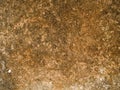 Macro texture - stone - mottled