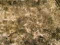 Macro texture - stone - mottled rock Royalty Free Stock Photo