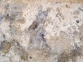 Macro texture - stone - mottled rock Royalty Free Stock Photo