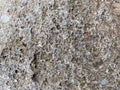 Macro Texture Stone Natural Surface Royalty Free Stock Photo
