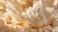 Highdetail macro shot of young corn cob with silk Royalty Free Stock Photo